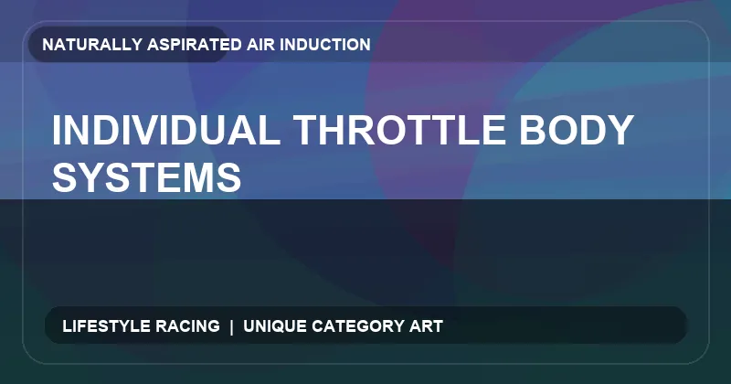 Individual Throttle Body Systems